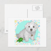 Maltesischer Hund mit Blasen Postkarte (Vorne/Hinten)