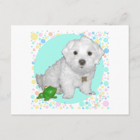 Maltesischer Hund mit Blasen Postkarte (Vorderseite)