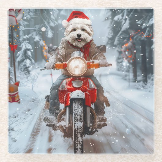 Maltesischer Hund reitend Motorrad Weihnachten Glasuntersetzer (Vorderseite)