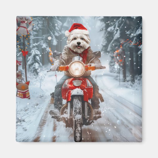 Maltesischer Hund reitend Motorrad Weihnachten Magnet (Vorne)