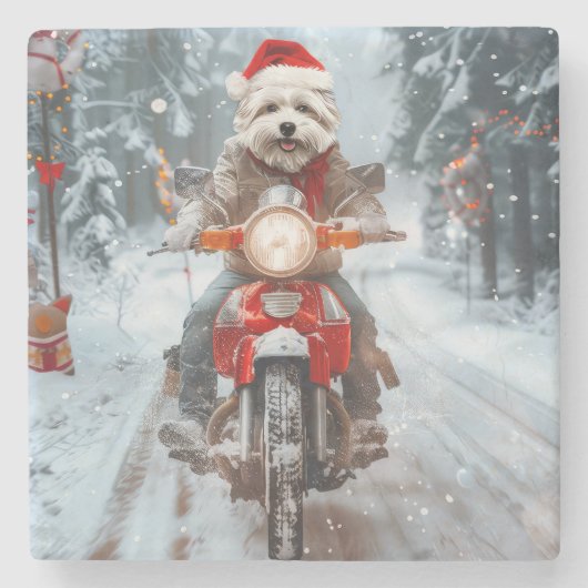 Maltesischer Hund reitend Motorrad Weihnachten Steinuntersetzer (Vorderseite)