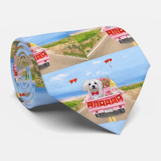 Maltesischer Hundeschlitten Krawatte (Gerollt)