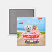 Maltesischer Hundeschlitten Magnet (Vorderseite/Rückseite)