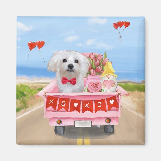 Maltesischer Hundeschlitten Magnet (Vorne)