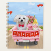 Maltesischer Hundeschlitten Planer (Vorderseite)