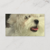 Maltesischer HundeVisitenkarte Visitenkarte (Rückseite)
