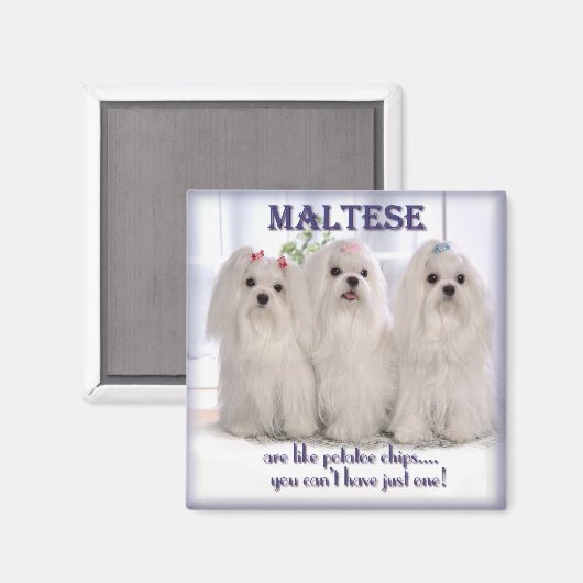 Maltesischer Magnet 1 (Vorderseite/Rückseite)