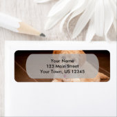 Maltesischer Pudding oder maltipotischer Welpenhun (Insitu)