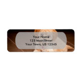 Maltesischer Pudding oder maltipotischer Welpenhun (Vorne)