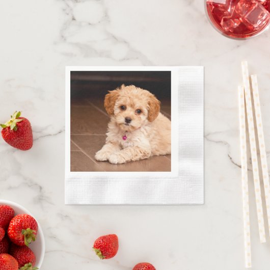 Maltesischer Pudding oder maltipotischer Welpenhun Serviette (Beispiel)