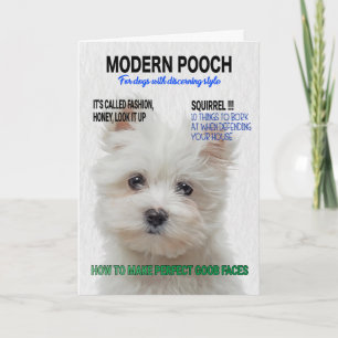 Maltesischer Terrier Parody Magazine Cover Karte