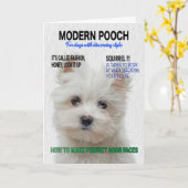 Maltesischer Terrier Parody Magazine Cover Karte (Gelbe Blume)