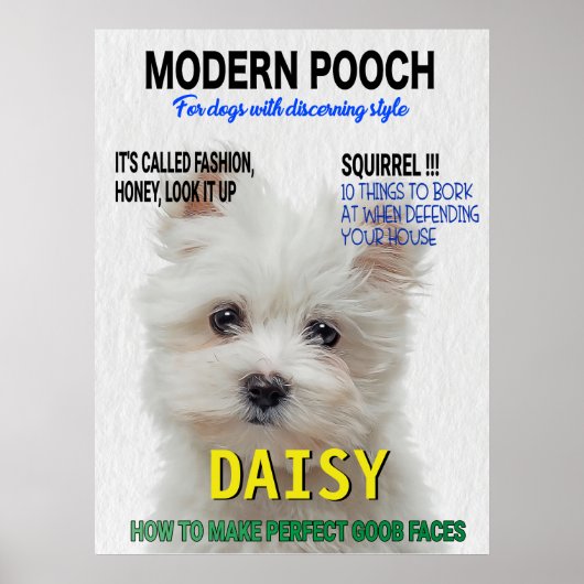 Maltesischer Terrier Parody Magazine Cover Poster (Vorne)