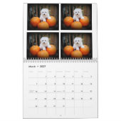 Maltesischer u. Maltipoo Welpen-Kalender Kalender (Mär 2027)