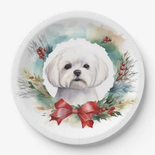 Maltesischer Weihnachtsmann Pappteller (Vorderseite)