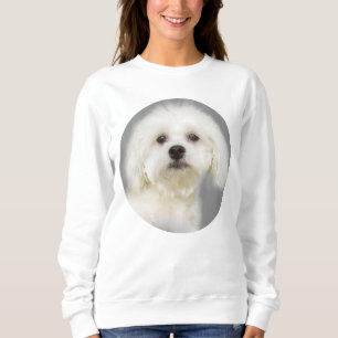 Maltesischer weißer Welpe Sweatshirt