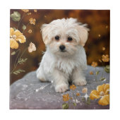 Maltesischer Welpe...anmutig Fliese (Vorderseite)
