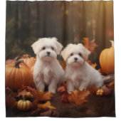 Maltesischer Welpe Autumn Delight Pumpkin Duschvorhang (Vorderseite)