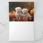 Maltesischer Welpe Autumn Delight Pumpkin Karte (Innenseite)
