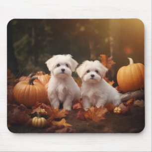 Maltesischer Welpe Autumn Delight Pumpkin Mousepad
