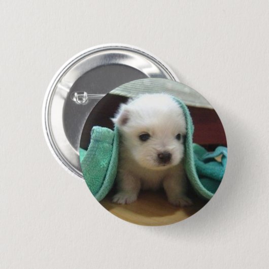 maltesischer Welpe Button (Vorne & Hinten)