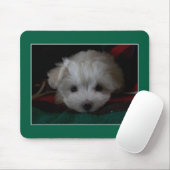 Maltesischer Welpe Eyes Mouse Pad Mousepad (Mit Mouse)