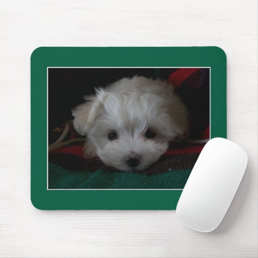 Maltesischer Welpe Eyes Mouse Pad Mousepad (Mit Mouse)