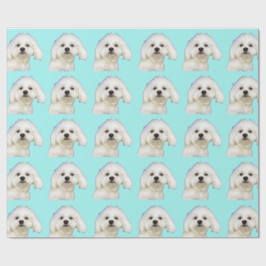 Maltesischer Welpe Geschenkpapier (Flach)