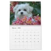 Maltesisches 2010 kalender (Feb 2026)