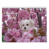 Maltesisches 2010 kalender (Titelbild)