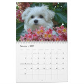 Maltesisches 2010 kalender (Feb 2027)