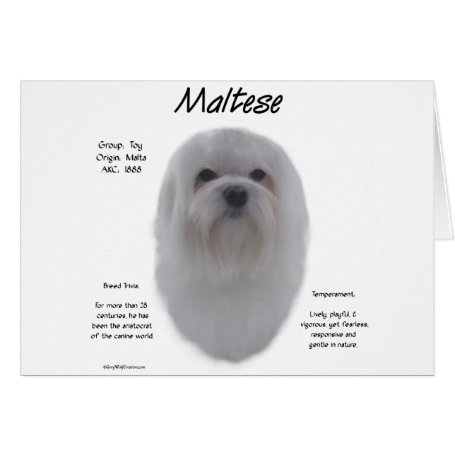 Maltesisches Geschichtsdesign (Vorderseite (Horizontal))