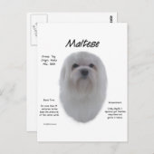 Maltesisches Geschichtsdesign Postkarte (Vorne/Hinten)