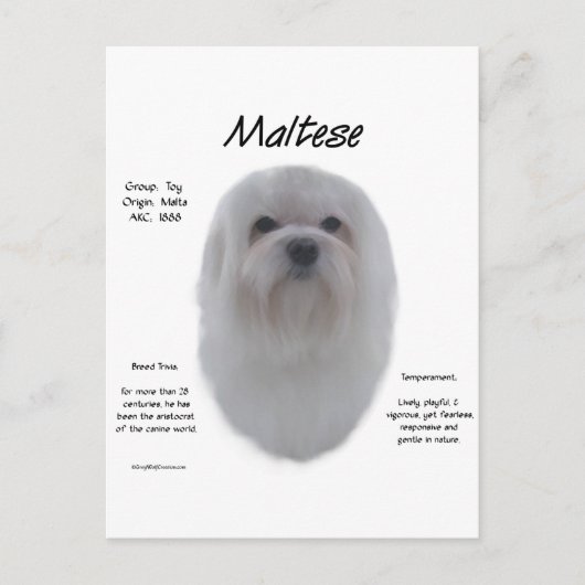 Maltesisches Geschichtsdesign Postkarte (Vorderseite)