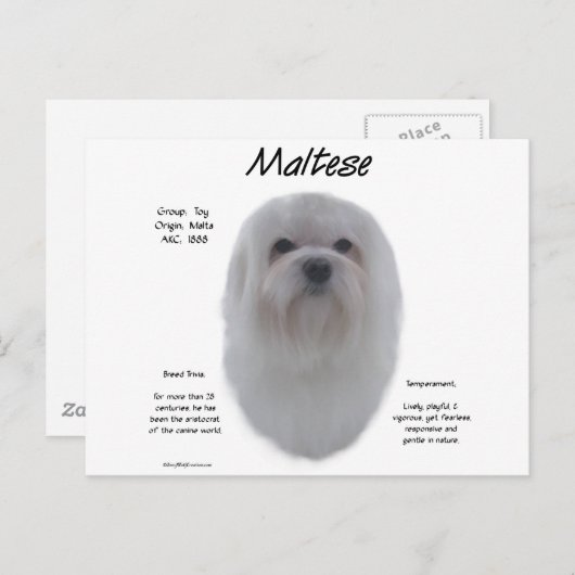 Maltesisches Geschichtsdesign Postkarte (Vorne/Hinten)