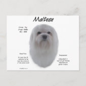 Maltesisches Geschichtsdesign Postkarte (Vorderseite)