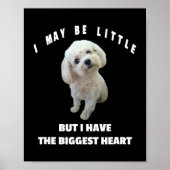 Maltesisches kleines maltesisches Dog Design Witzi Poster (Vorne)