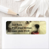 Maltesisches Postsiegel (Insitu)