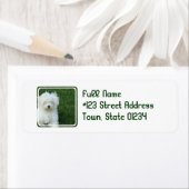 Maltesisches Rücksendeadresse-Mailing-Label (Insitu)
