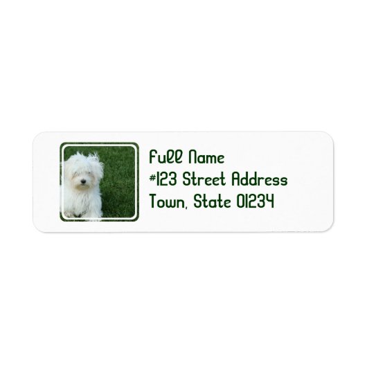 Maltesisches Rücksendeadresse-Mailing-Label (Vorne)