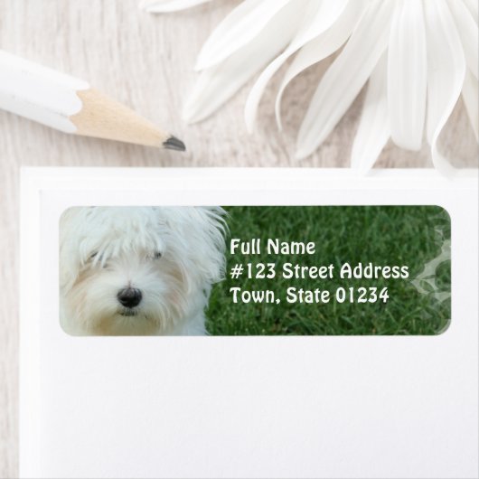 Maltesisches Rücksendeadresse-Mailing-Label (Insitu)