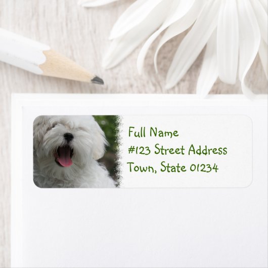 Maltesisches Rücksendesiegel (Insitu)