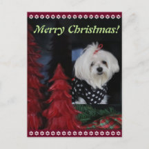 Maltesisches Weihnachten