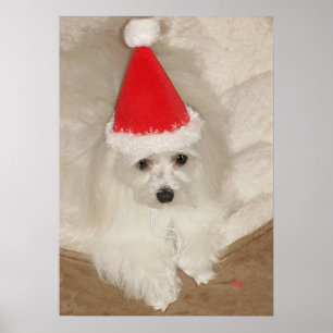 Maltesisches Weihnachten Poster