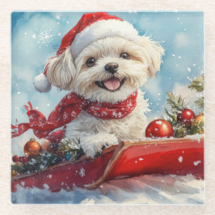 Malti Tzu Dog in Sledge Let it Schnee Weihnachten Glasuntersetzer