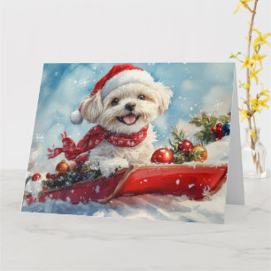 Malti Tzu Dog in Sledge Let it Schnee Weihnachten Karte