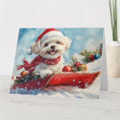 Malti Tzu Dog in Sledge Let it Schnee Weihnachten Karte (Vorderseite)