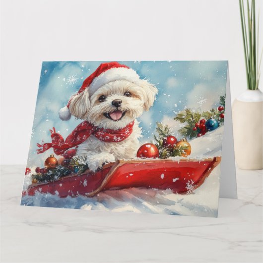 Malti Tzu Dog in Sledge Let it Schnee Weihnachten Karte (Vorderseite)