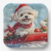 Malti Tzu Dog in Sledge Let it Schnee Weihnachten Pappteller (Vorderseite)
