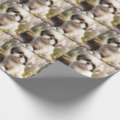 Malti Tzu Dog mit Ostereier Urlaub Geschenkpapier (Ecke)